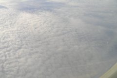 168574_118148664925404_2138184_n_118148664925404