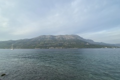 IMG_3530