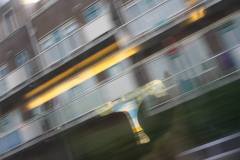 1008708_525041767569423_1518853568_o_525041767569423