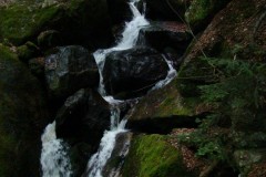 DSC06515