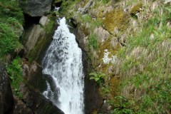 DSC06561