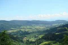 DSC06587
