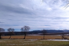 IMG_20201205_205331