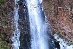 IMG_20210102_202657