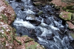 IMG_20210102_202920
