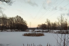 IMG_20210110_182110
