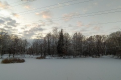 IMG_20210110_182429