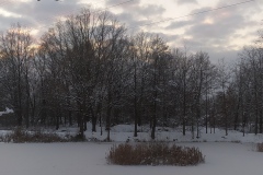 IMG_20210110_182641