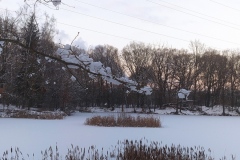 IMG_20210110_182800