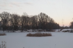IMG_20210110_182951