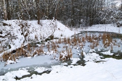 IMG_20210110_183753