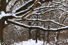 IMG_20210110_210713