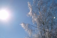 IMG_20210215_182553