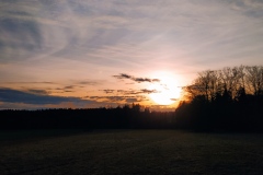 IMG_20210219_165609