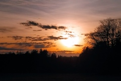 IMG_20210219_165613