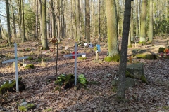 IMG_20210220_195426