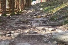 Kleť