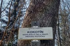Kokotín