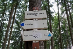 IMG_20210612_134049_222