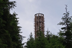 IMG_20210612_134139_292