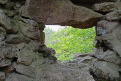 IMG_20210612_152937_109