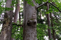 IMG_20210612_153032_909
