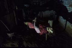 IMG_20210613_161750_521-scaled