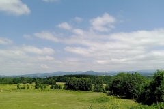 IMG_20210624_135933_539