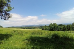 IMG_20210624_142320_882