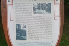 IMG_20210704_140934_621