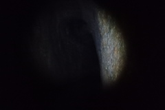 IMG_20210704_152909_567
