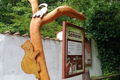 IMG_20210704_162610_965