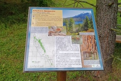 IMG_20210704_163807_933