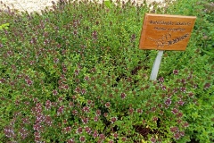 IMG_20210704_165500_181