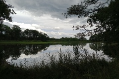 IMG_20210705_144729_556