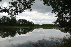 IMG_20210705_144753_796