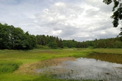 IMG_20210705_151452_736