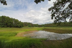 IMG_20210705_151456_689