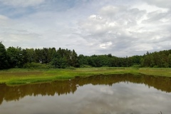 IMG_20210705_151555_916