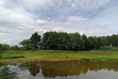 IMG_20210705_151602_335