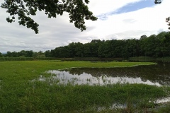 IMG_20210705_171548_770