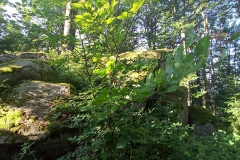 Vysoký Kámen (alias Slepice).