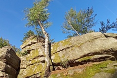 Vysoký Kámen (alias Slepice).