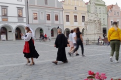 IMG_20210717_204007_519