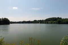 Netolice