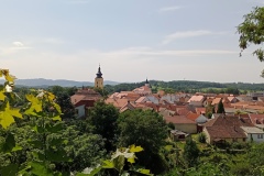 Netolice