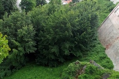 Bechyně