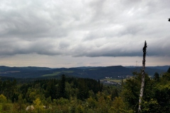 IMG_20210918_150520