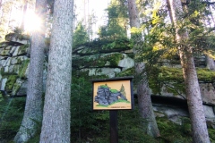 IMG_20210925_144556