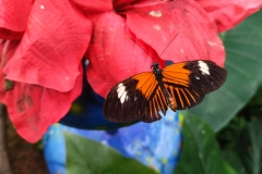 IMG_20210928_133254